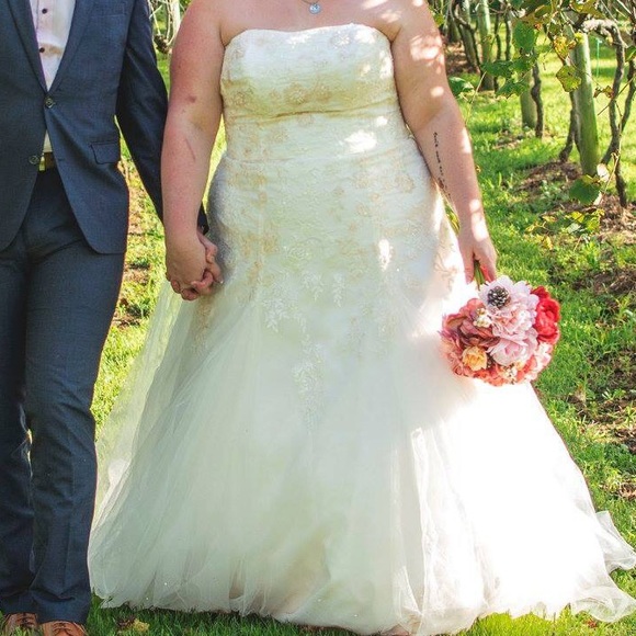 David’s Bridal Ivory with blush ball gown sz 20 - Picture 4 of 5